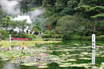 Beppu Jigoku tour (Sea Jigoku and others)