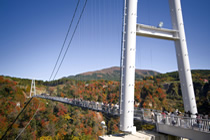 Kokonoe Yume suspension bridge