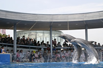 水族館うみたまご